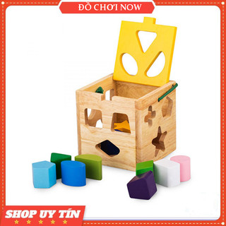 Đồ chơi thả hình khối giỏ 12 khối, Đồ chơi gỗ Winwintoys