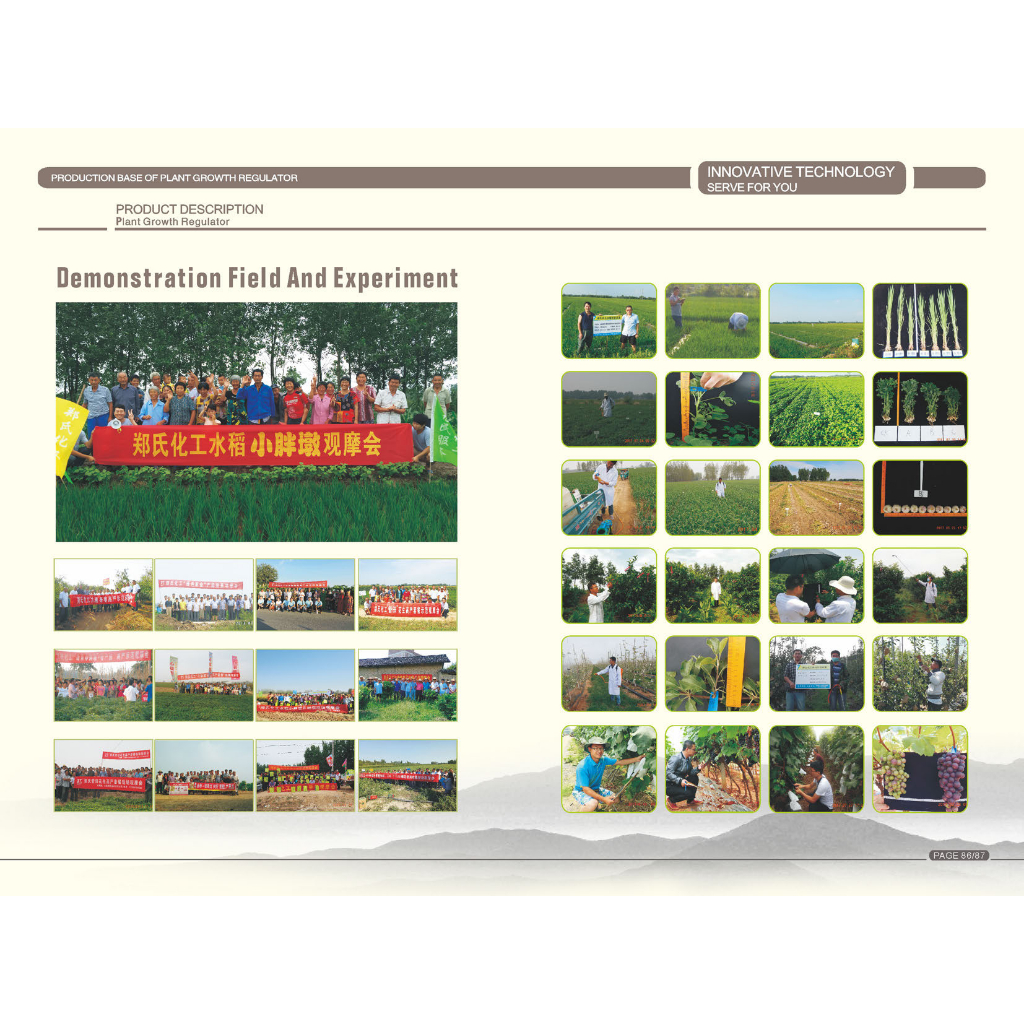 Chất kích tăng trưởng sản lượng tăng năng xuất - Triacontanol 1.5% EP