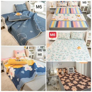 Chiếu điều hòa cao su non 2d kèm 2 vỏ gối kích thước 1m6, 1m8, 2m2