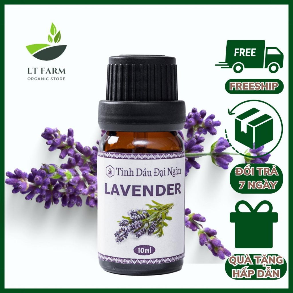 Tinh dầu xông phòng lavender nguyên chất làm nến thơm LT Farm 10ml xông tinh dầu phòng ngủ spa đuổi chuột