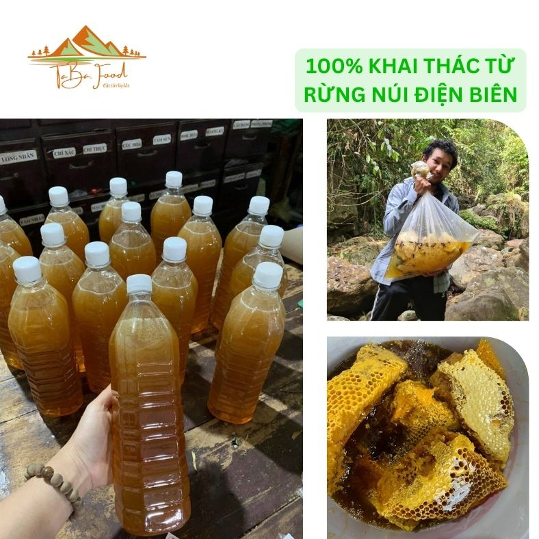 Mật Ong Rừng Điện Biên 100%⚡Khai Thác T5/2023⚡️ Nguyên Tổ Tại Điện Biên - Số Lượng Rất Ít