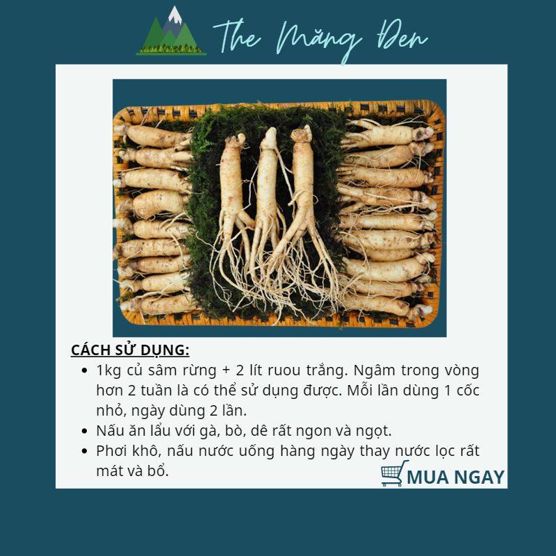 Sâm Dây Ngọc Linh Đẳng Sâm Măng Đen Đặc Sản The Măng Đen Kon Tum