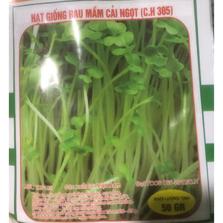 Hạt giống chuyên dùng rau mầm Cải Ngọt 50 gram