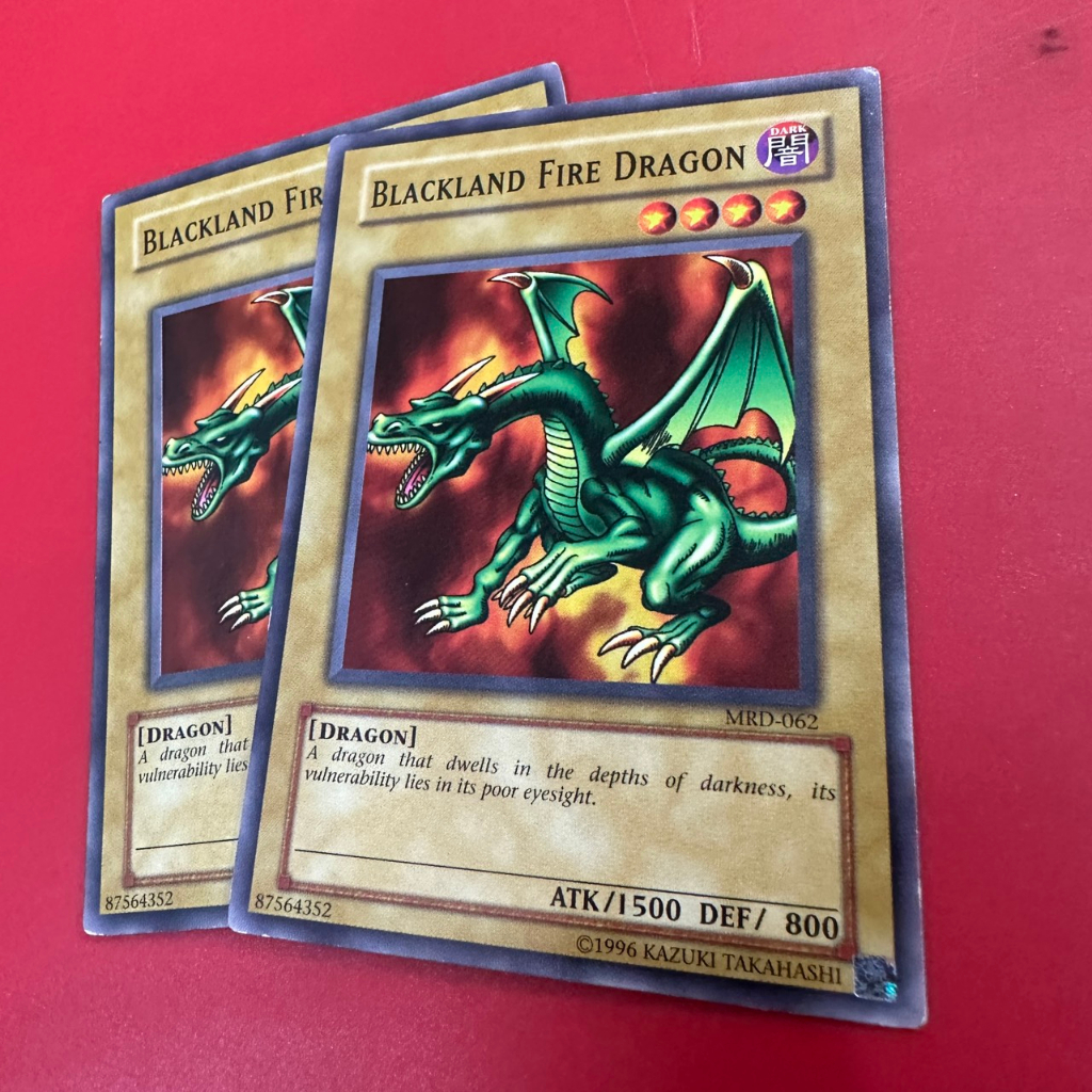 Blackland Fire Dragon