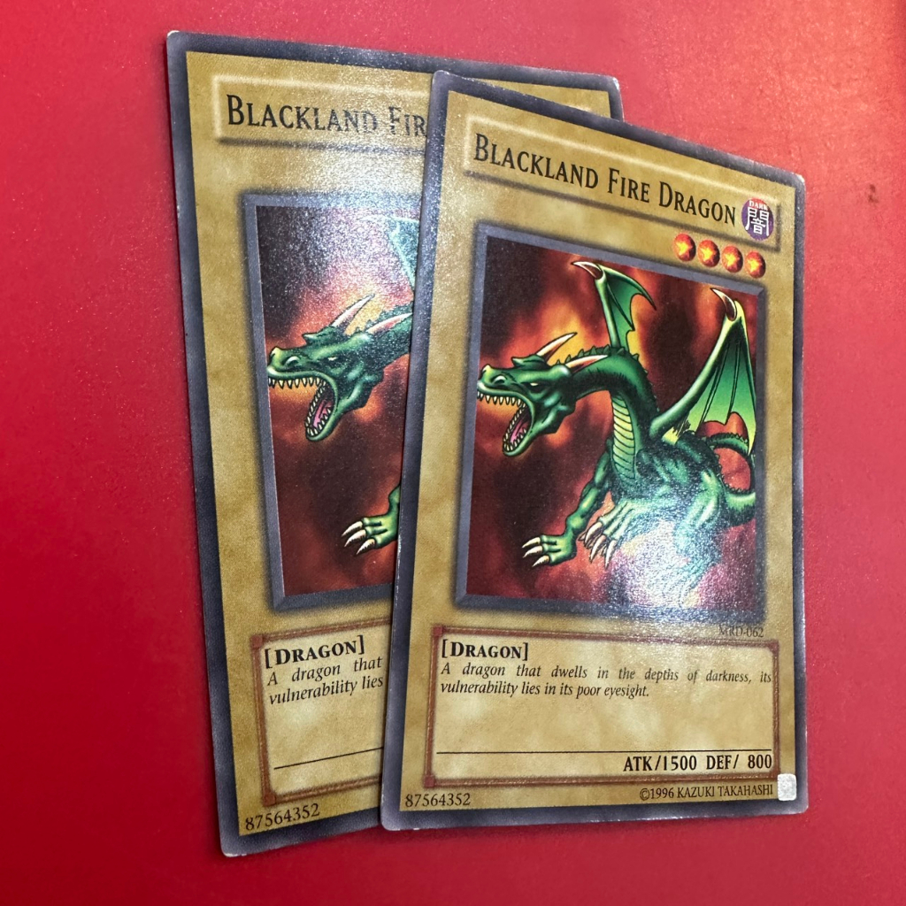 Blackland Fire Dragon