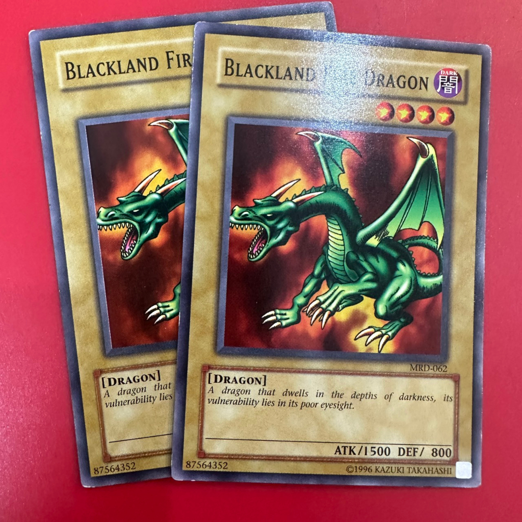 Blackland Fire Dragon