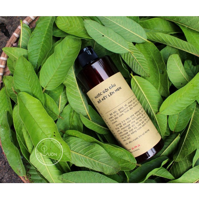 Nước gội đầu bồ kết lên men 250ml kích thích mọc tóc chai dùng thử