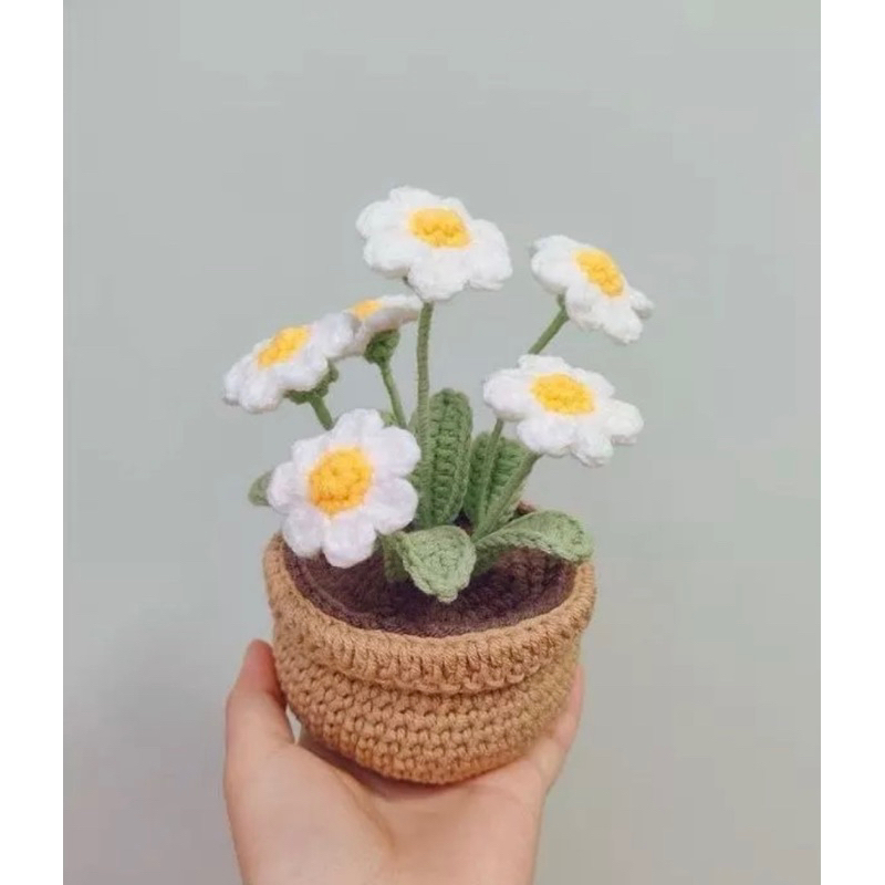 Chậu hoa len cúc hoạ mi. Hoa len, hoa cúc bằng len