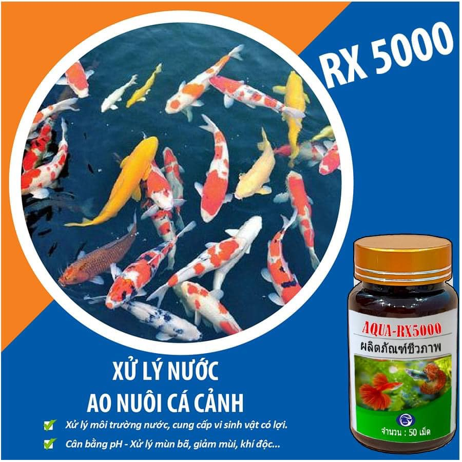 Aqua RX 5000 chế phẩm vi sinh Thái Lan 365 ngày không cần thay nước