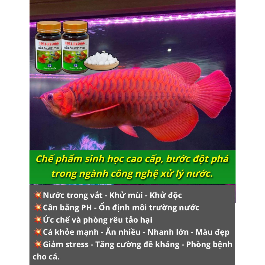 Aqua RX 5000 chế phẩm vi sinh Thái Lan 365 ngày không cần thay nước