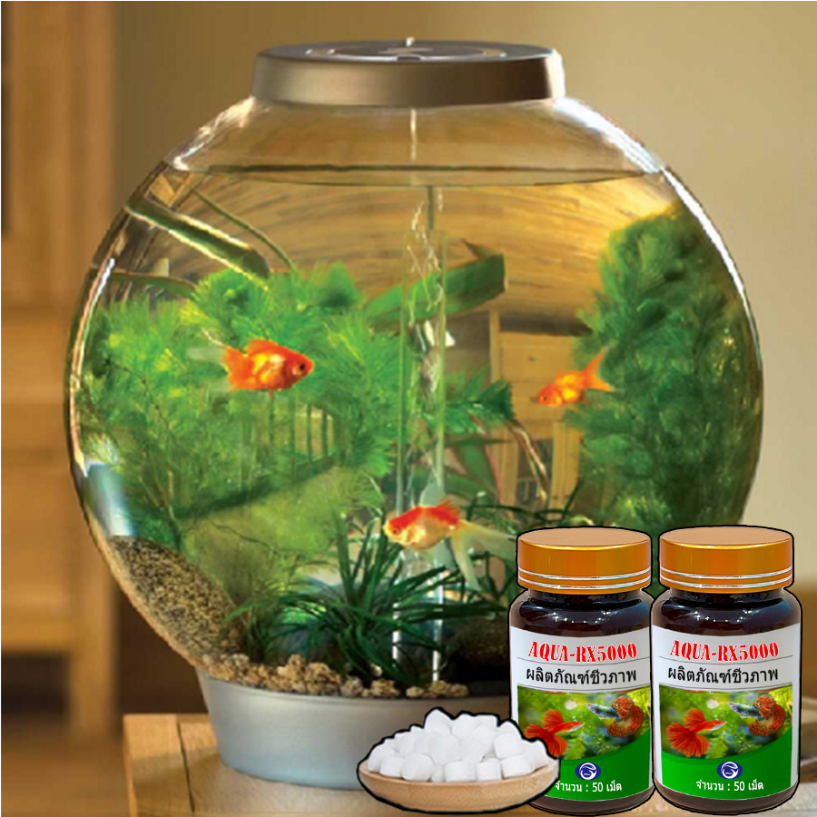 Aqua RX 5000 chế phẩm vi sinh Thái Lan 365 ngày không cần thay nước