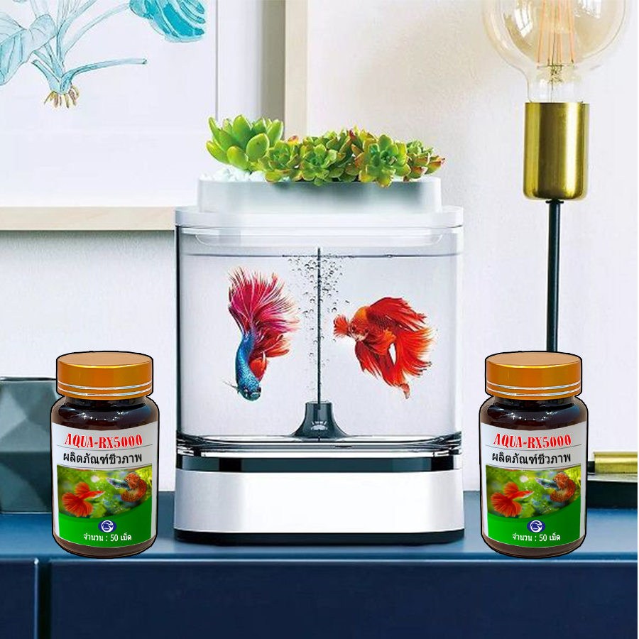 Aqua RX 5000 chế phẩm vi sinh Thái Lan 365 ngày không cần thay nước