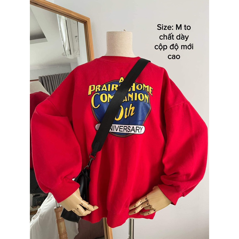 Áo hoodie lót nỉ unisex