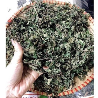 [Freeship] Lá Đắng Rừng Lai Châu ( Hay còn gọi là lá dạ dày )(Hàng Chuẩn)