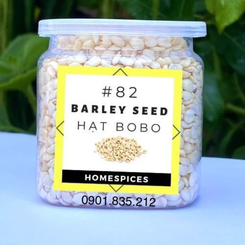 Hạt bobo ý dĩ loại ngon - Barley seed