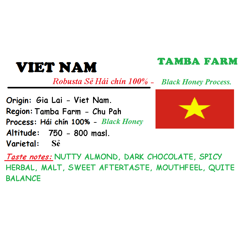 SPECIAL COFFEE - HẠT - 2 TÚI 250 GRAM (Gross Weight) - ROBUSTA SẺ SƠ CHẾ HONEY - LÊ KIÊN FARM/TAMBA FARM..