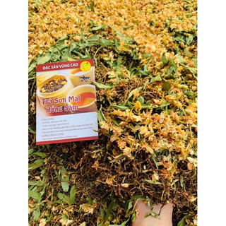 [Freeship] Trà Sơn Mật Hồng Sâm SAPA Thơm chuẩn(Hàng Chuẩn)