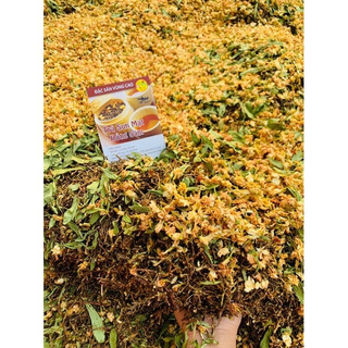 [Freeship] Trà Sơn Mật Hồng Sâm SAPA Thơm chuẩn(Hàng Chuẩn)