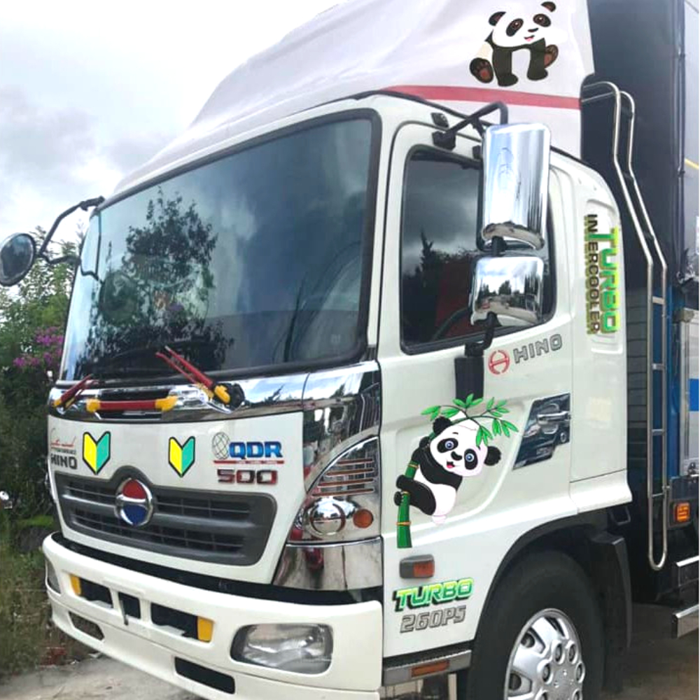 Tem xe Gấu trúc - Decal 3 lớp, Phản quang 7 màu