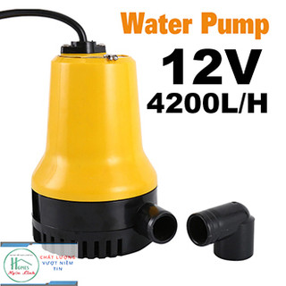 Bơm Chìm Vàng Lớn 12V