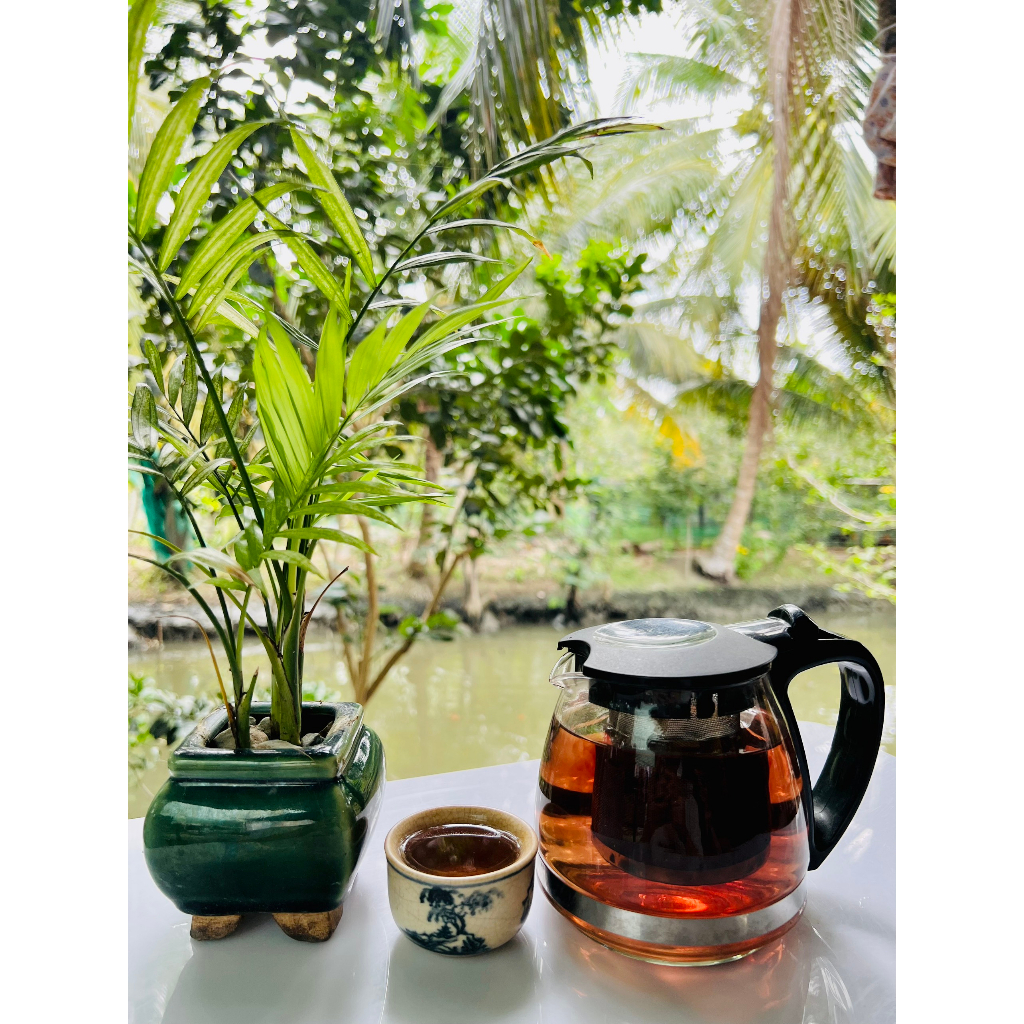 Trà Hoa Gạo Lứt Genmai Tự nhiên