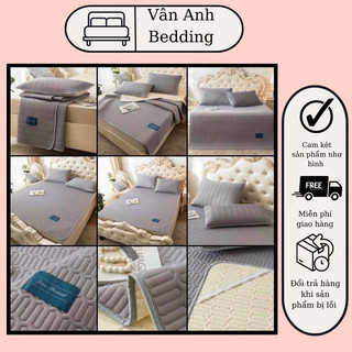 Chiếu Điều Hoà Cao Su Non 3D Tencel Latex loại 1 Nhập khẩu cao cấp ( tặng 2 vỏ gối)