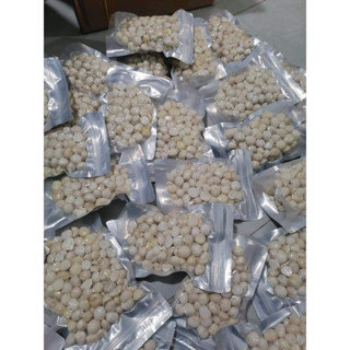 Nhân Macca Daklak tươi 500Gr (ship hoả tốc)