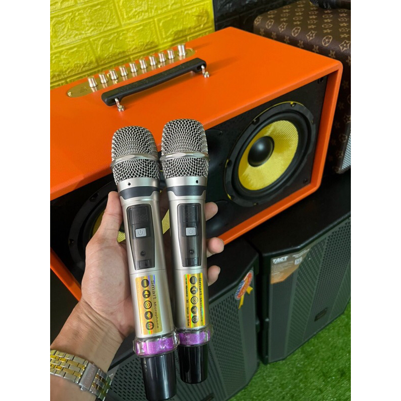 Loa karaoke xách tay Marshall , 1 loa trung, 1 loa treble, 650W)