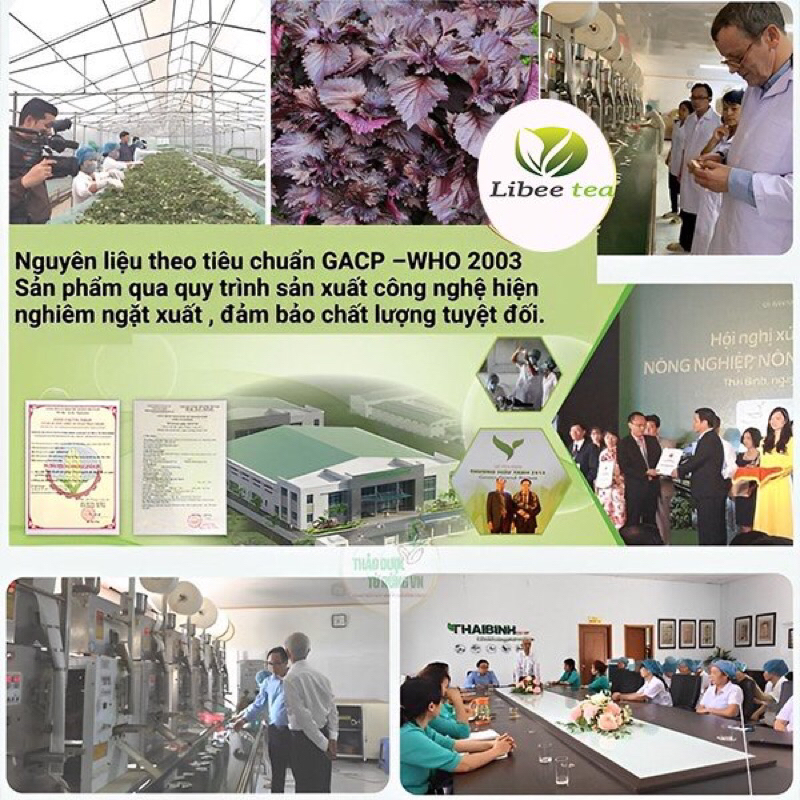 Trà Tía Tô OKASHI Nhật Bản  - Bịch 60 túi lọc