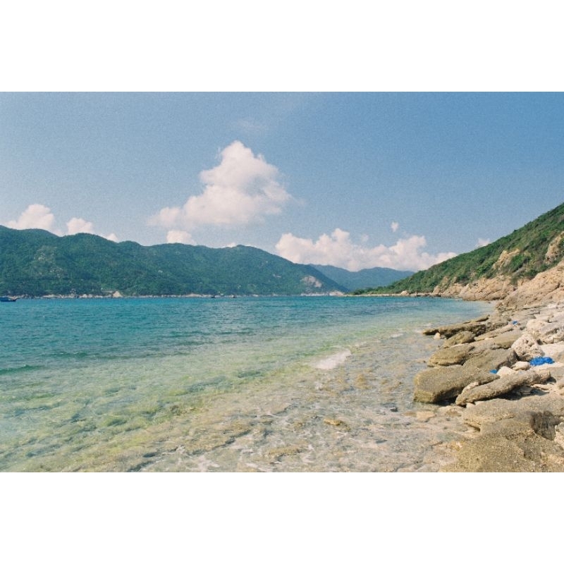 Film kodak vision 3 250D  - iso 250 - 36 kiểu - chụp được máy PnS