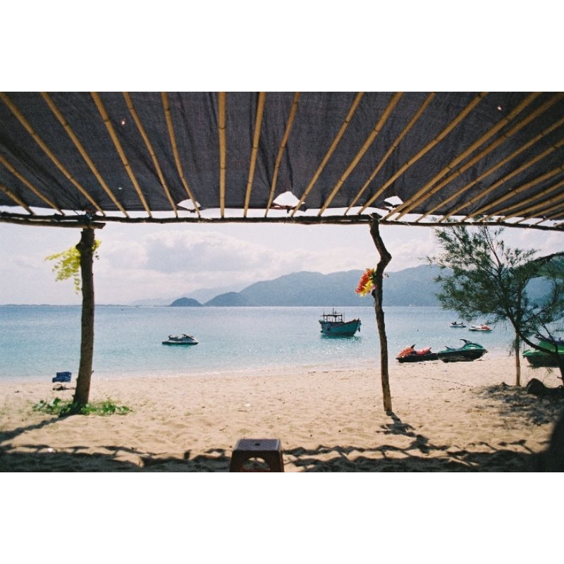 Film kodak vision 3 250D  - iso 250 - 36 kiểu - chụp được máy PnS