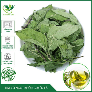 Trà cỏ ngọt sấy khô 1kg tự nhiên loại cao cấp nguyên lá không vụn chữa tiểu đường cao huyết áp tại thảo mộc gama