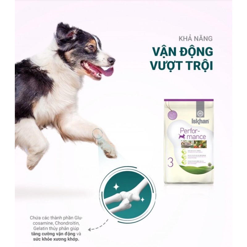 1kg2 - Thức ăn hạt Iskhan cho chó 🐶