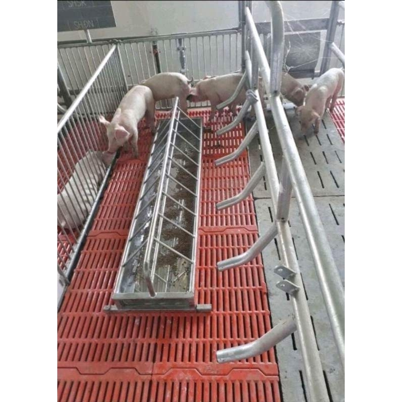 Máng tập ăn 20 ô bằng inox