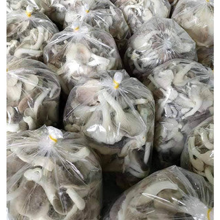 Nấm Bào Ngư Xám