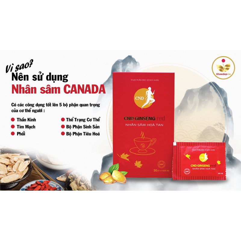 NHÂN SÂM HÒA TAN CND GINSENG RED