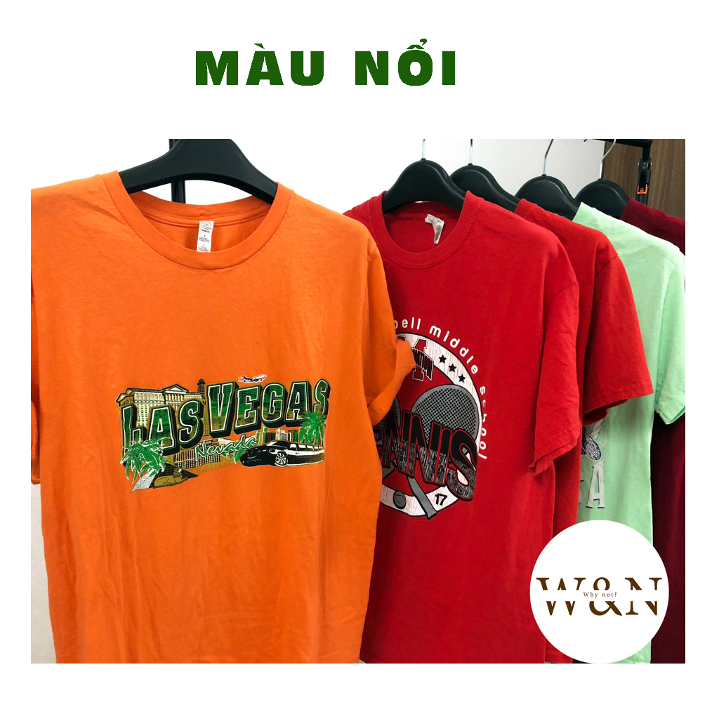 Áo phông cotton 2hand, áo thun mỹ SIZE L