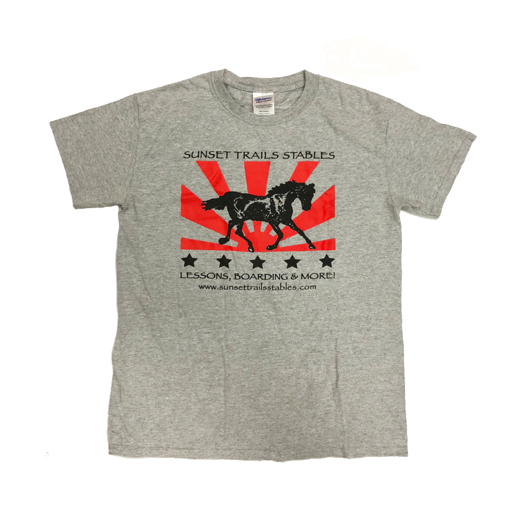 Áo phông cotton 2hand, áo thun mỹ SIZE L