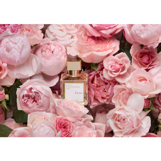 owen - Nước Hoa - MFK Ala Rose