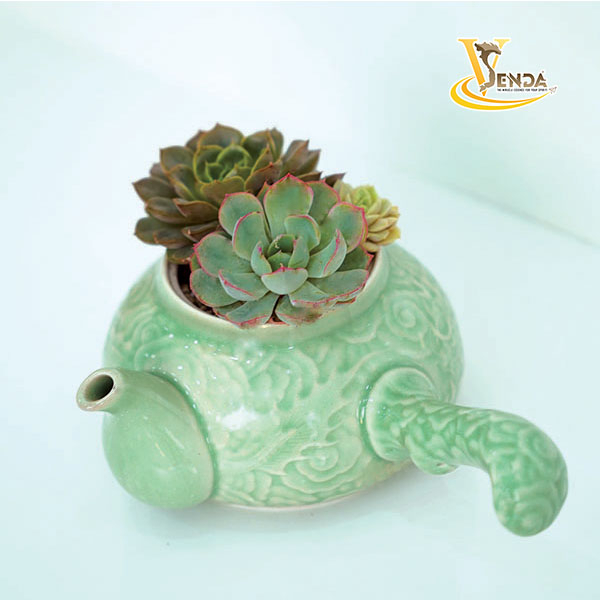 Tĩnh Lặng_Chậu Hoa Sen Đá Bình Trà Độc Đáo_VSenda - chuyên các sản phẩm về Sen Đá