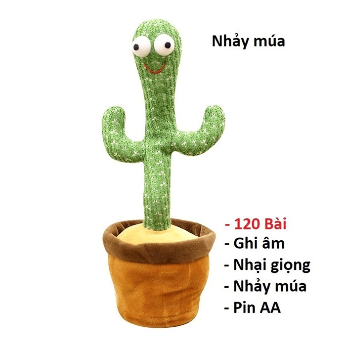 Cây xương rồng nhảy múa