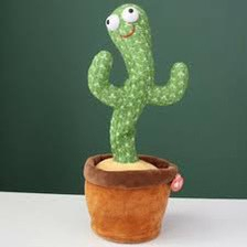 Cây xương rồng nhảy múa