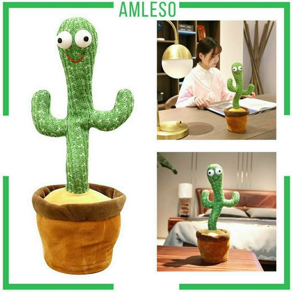 Cây xương rồng nhảy múa