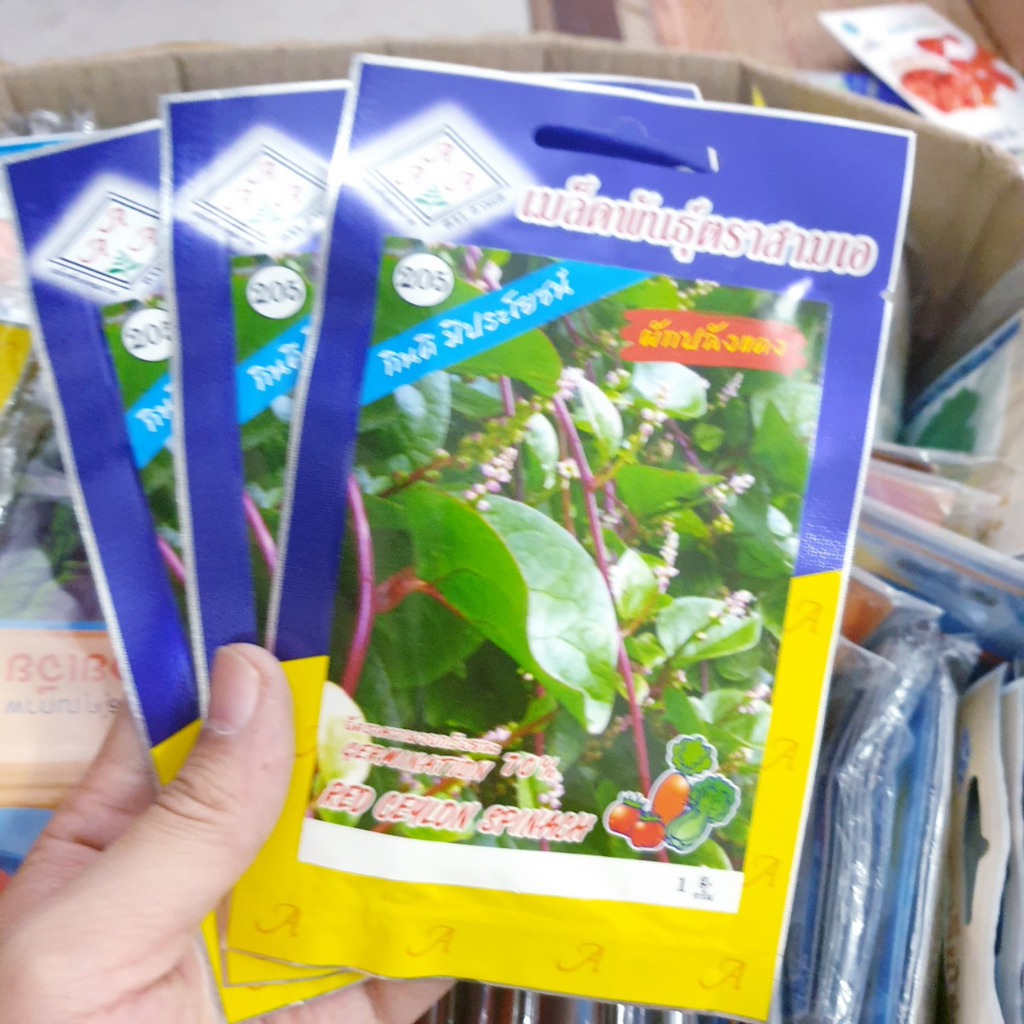 Hạt giống mùng tơi tím. 1 gr/gói. Hàng nhập công ty Thái Lan