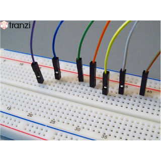 Dây cắm Breadboard đực đực 20cm 40 sợi