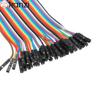 Dây cắm Breadboard cái cái 20cm 40 sợi
