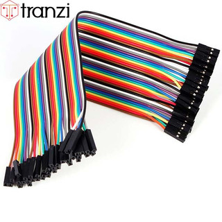Dây cắm Breadboard cái cái 20cm 40 sợi