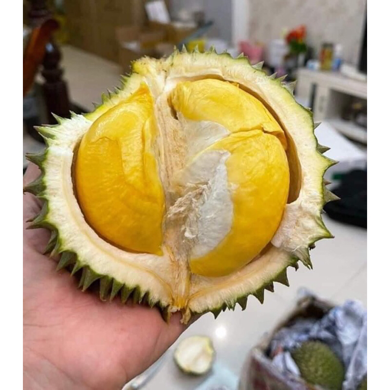 sầu riêng fumoni thái lan trái 800gr