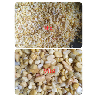 Sỏi vàng thiên nhiên bịch 1kg trang trí bể cá, sân vườn...