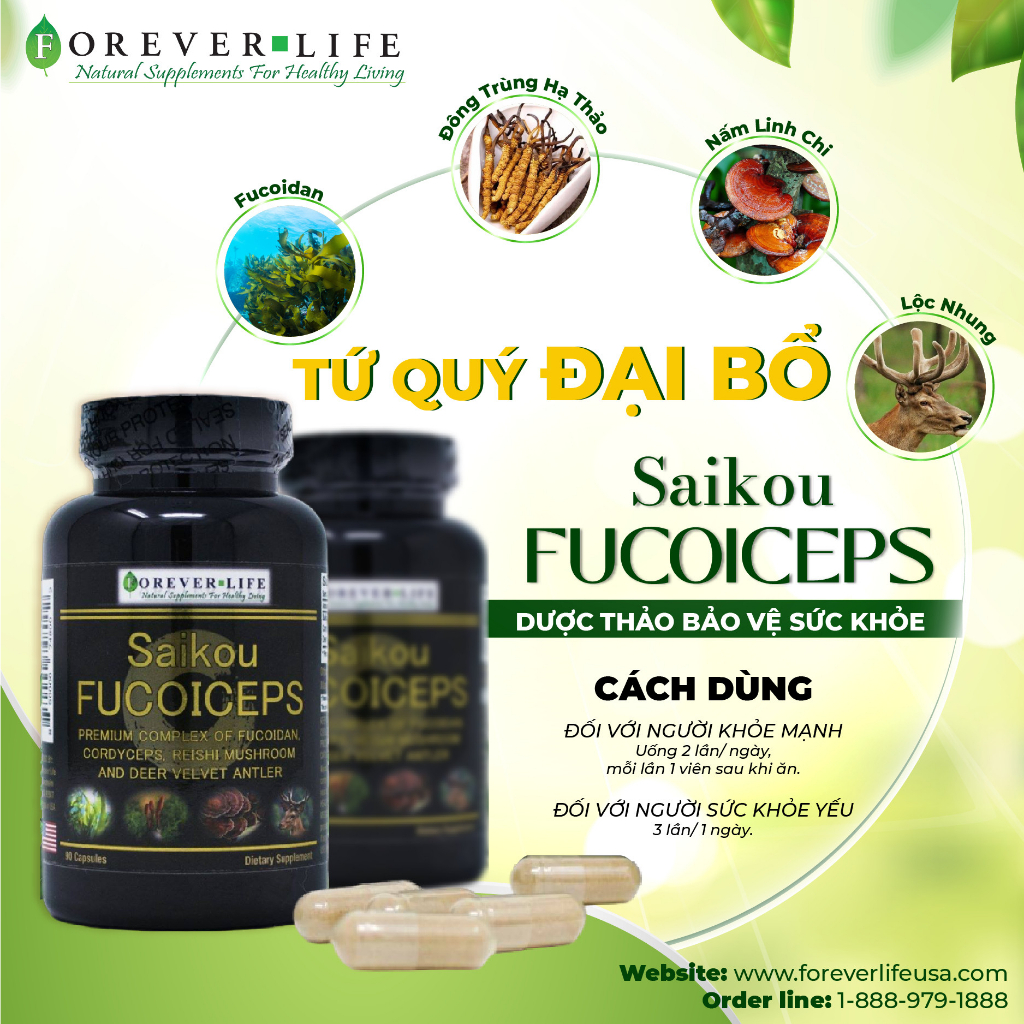 Tứ Quý Đại Bổ_ Viên tổng hợp Fucoidan, Đông Trùng Hạ Thảo, Lộc Nhung, Linh Chi